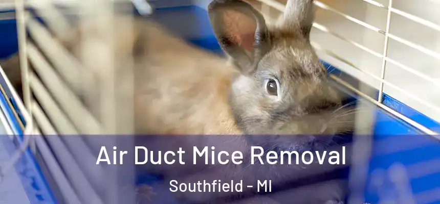 Air Duct Mice Removal Southfield - MI