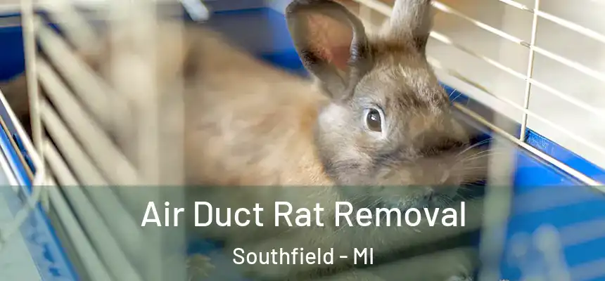 Air Duct Rat Removal Southfield - MI