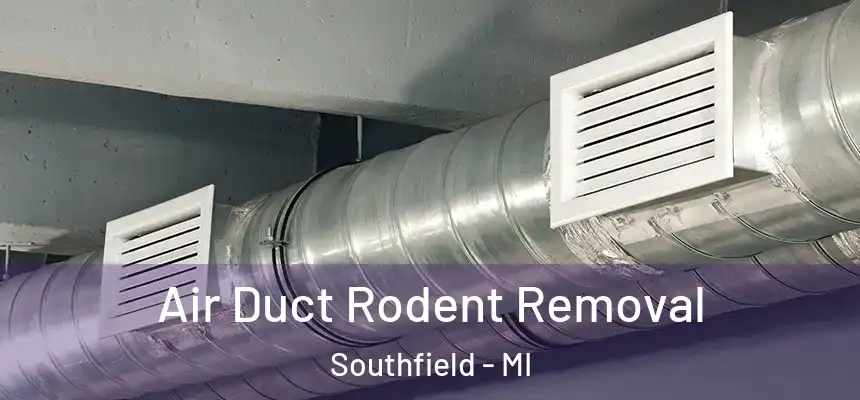Air Duct Rodent Removal Southfield - MI