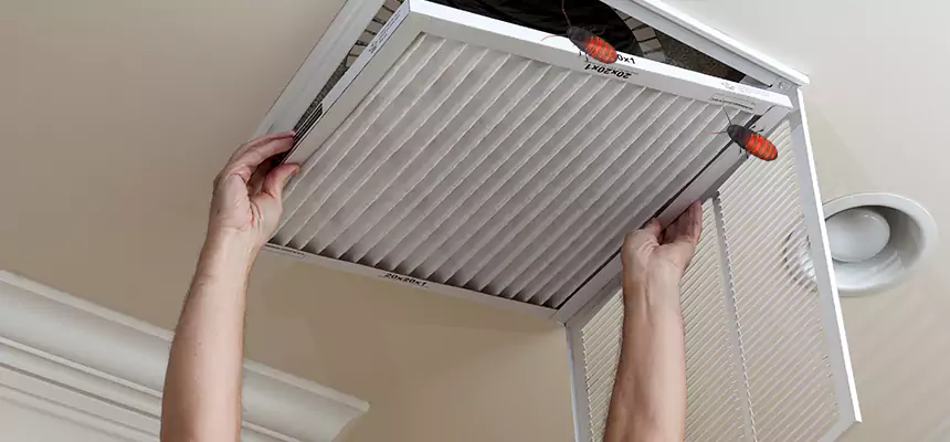 Preventive Cockroach-Proofing for Ducts in Southfield