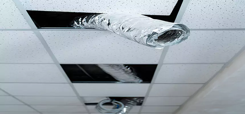 Affordable HVAC Sanitizing After Pest Removal in Southfield