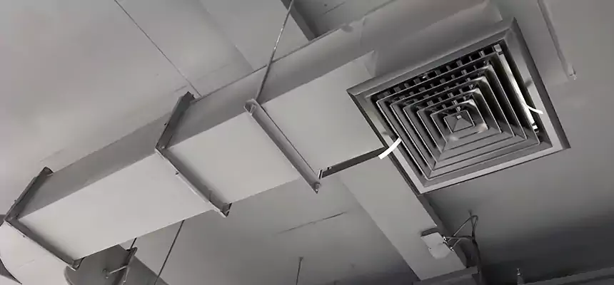 Restorative Allergy Relief Vent Cleaning – Coil, Blower & Housing Detail in Southfield