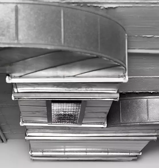 Professional Air Duct Pest Removal in Southfield, MI