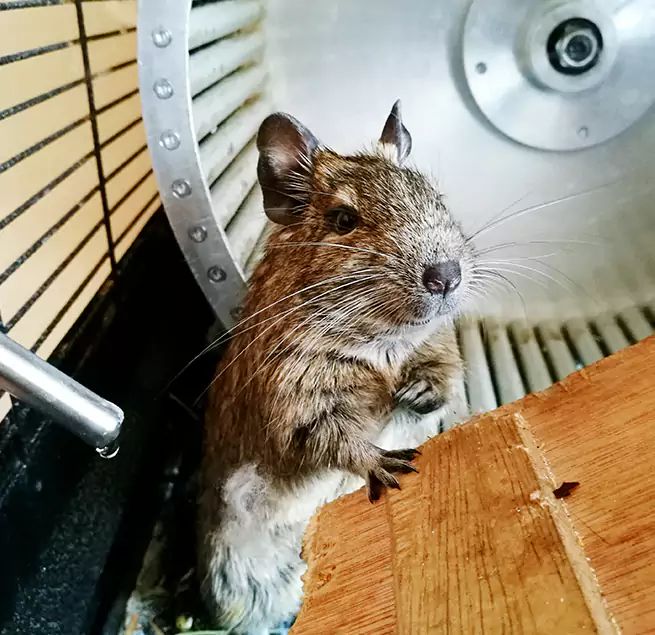 Why Homeowners & Businesses Trust Us Southfield, MI